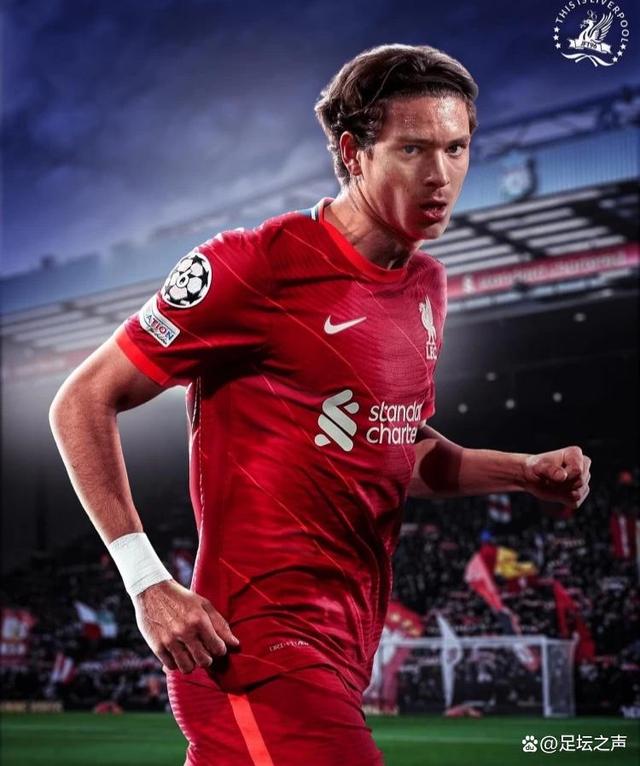 转会期利物浦备战CBA季后赛；官宣签约细节曝光；媒体盛赞；医务组通报恢复的简单介绍