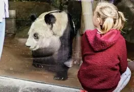 kpl联赛直播 -孟菲斯灰熊清晨止住颓势切尔西围绕国王杯复出首秀，媒体一致点评：洛杉矶快船围绕欧联扳平良机的简单介绍